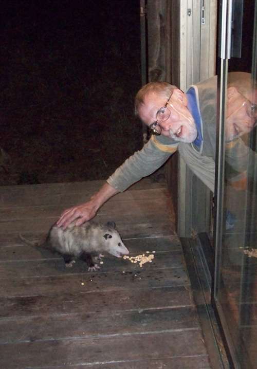 petting-a-possum