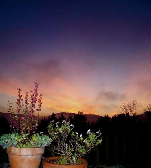 The sun setting on 2008, as seen from my cabin Monday. Happy New Year, one and all.