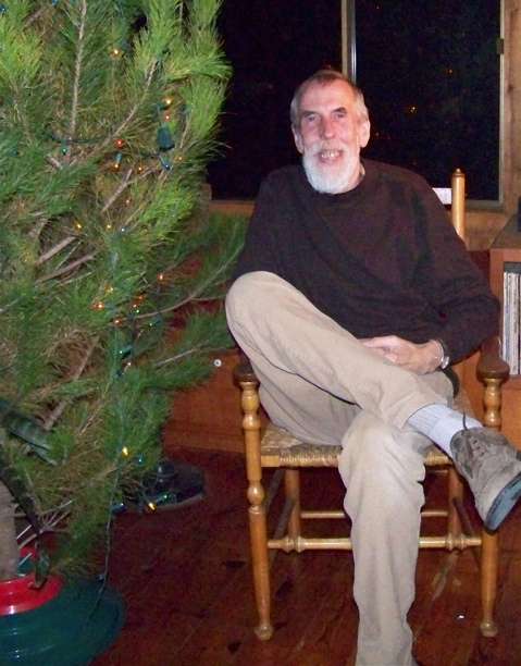 Enjoying the woodland niche in my loft created by the little tree. Photo by Janine Warner, founder of DigitalFamily.com