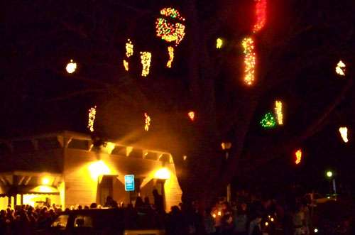 Christmas tree light'12