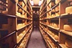 nicasio-valley-creamery